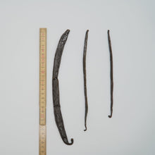 Lade das Bild in den Galerie-Viewer, 24-30cm Pompona „Jumbo Finger“ Vanille Schoten
